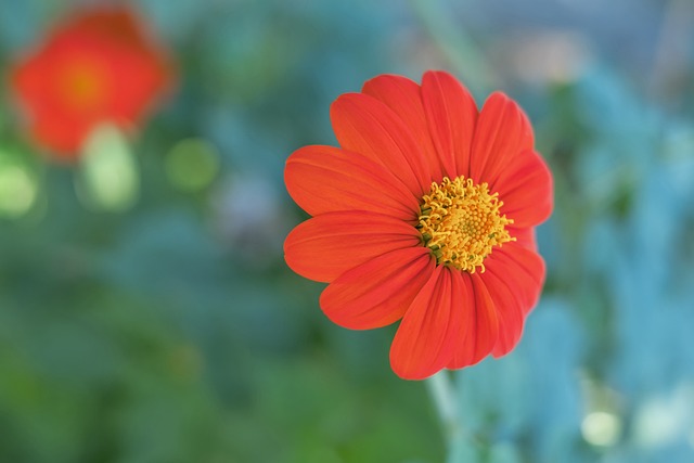 最终锁定胜 最终锁定胜