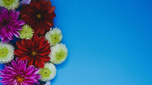 及巨额资金 及巨额资金