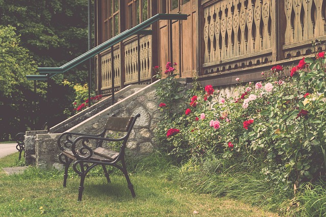 詹姆斯和安 詹姆斯和安