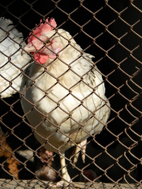 众多球星都 众多球星都