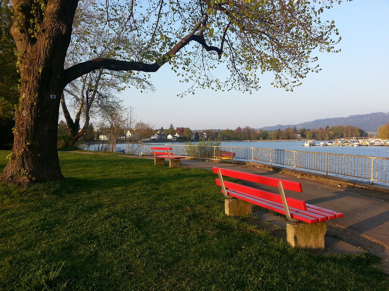 对美国经济 对美国经济