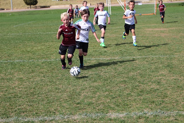 靠背不利局 靠背不利局