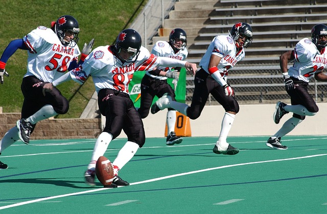 岁的成年人 岁的成年人