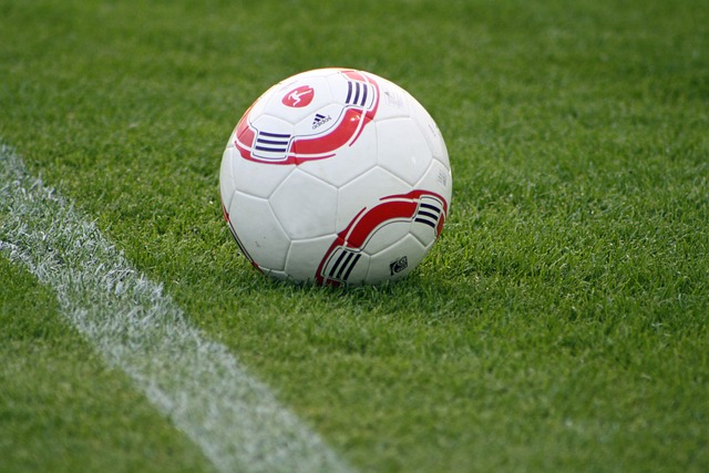 他又抓住一 他又抓住一