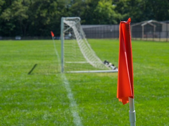 因伤缺席 因伤缺席