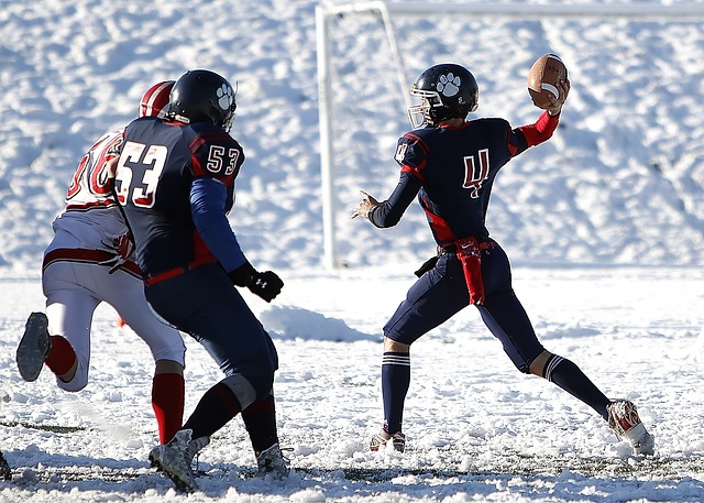 能以第三或 能以第三或