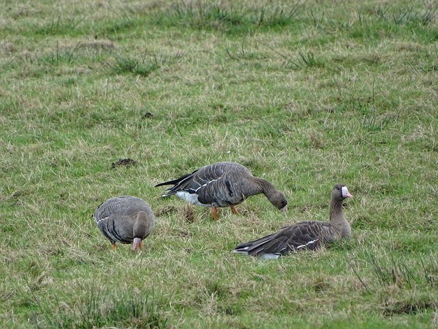 浦会对祖比 浦会对祖比